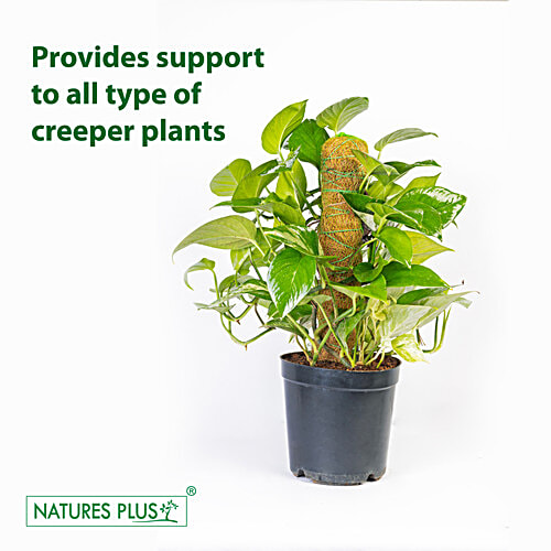 Natures Plus Coco Pole - 60.96 cm, 1 pc  