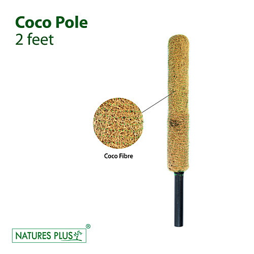 Natures Plus Coco Pole - 60.96 cm, 1 pc  