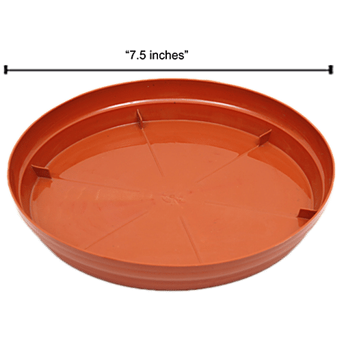 Natures Plus Planter Tray 10, 7.5 x 6.5 x 1  