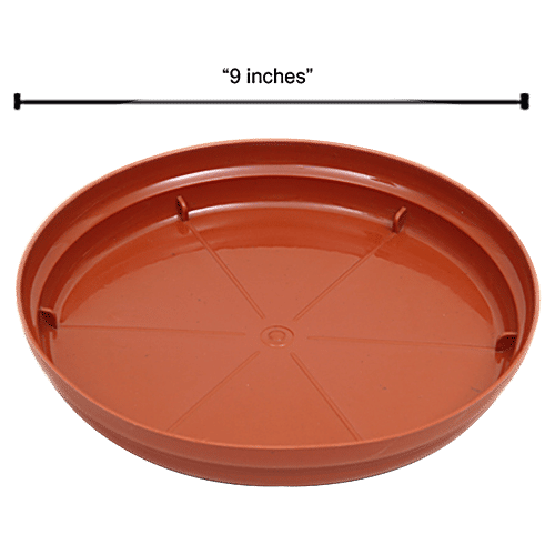 Natures Plus Planter Tray 12, 9 x 8 x 1.75  