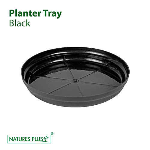 Natures Plus Planter Tray 14, 10.5 x 9.50 x 1.75 cm
