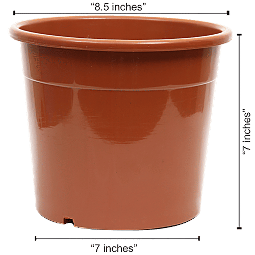 Natures Plus Nursery Pot - 8 Inch, Brown, 8.5 x 7 x 7  