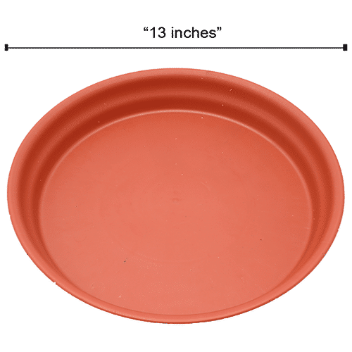 Natures Plus Flower Pot 60, 6 x 3.5 x 5.5  