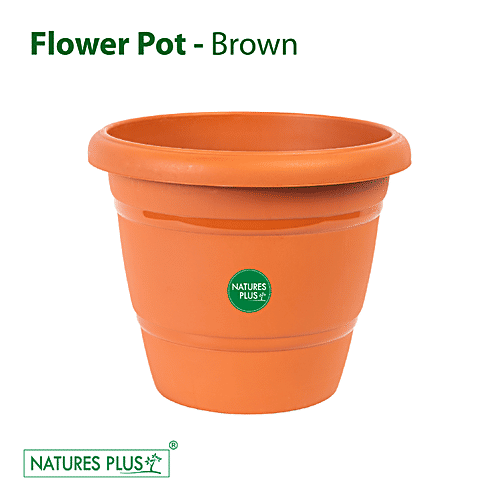 Natures Plus Flower Pot 100, 1 pc 25.4 x 15.24 x 21.59 cm