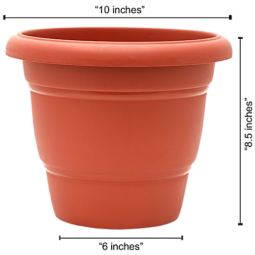 Natures Plus Flower Pot 100, 10 x 6 x 8.5  