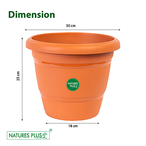 Natures Plus Flower Pot 120, 12 x 7 x 10  