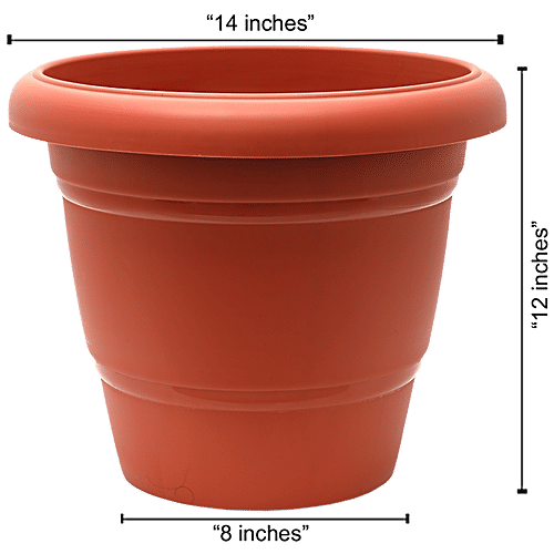 Buy NATURES PLUS Flower Pot 140 Online at Best Price of Rs 219 bigbasket