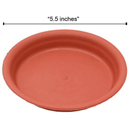 Natures Plus Planter Tray 60, 5.5 x 4.5 x 1  