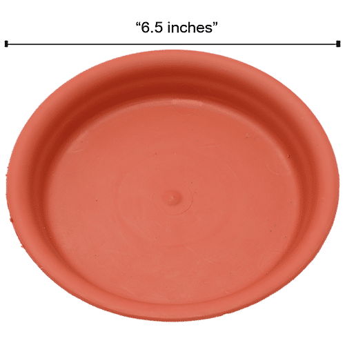 Natures Plus Planter Tray 80, 6.5 x 5.5 x 1.25  