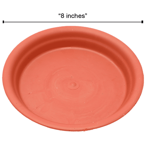 Natures Plus Planter Tray 100, 8 inch x 6.5 cm x 1.25 cm  