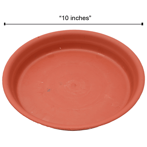 Natures Plus Planter Tray 120, 10 x 8 x 1.5  