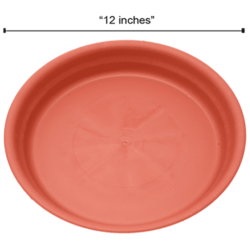 Natures Plus Planter Tray 140, 12 x 9 x 1.75  