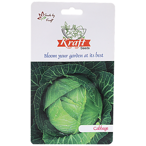 Natures Plus Kraft Seeds - Cabbage, Set of 1