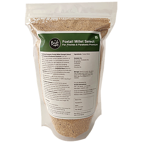 Buy The Birds Company Bird Food Premium Foxtail Millet/Kangni Select