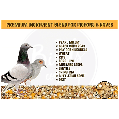 The Birds Company Bird Food - Premium Seed Blend Of 8 Grains & Nuts With Spirulina & Cuttlefish Bone, 450 g  