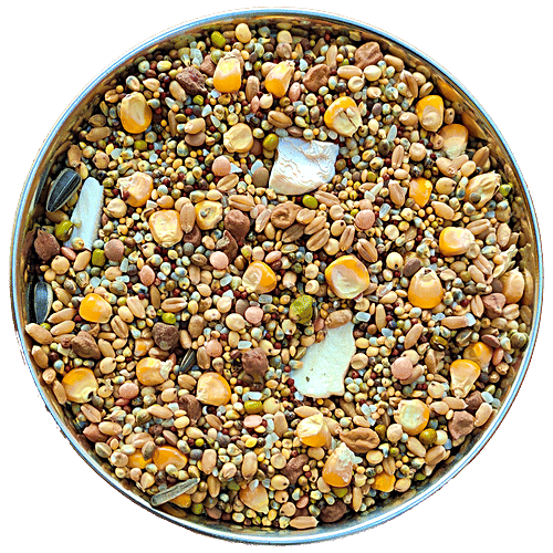 The Birds Company Bird Food - Premium Seed Blend Of 8 Grains & Nuts With Spirulina & Cuttlefish Bone, 450 g  