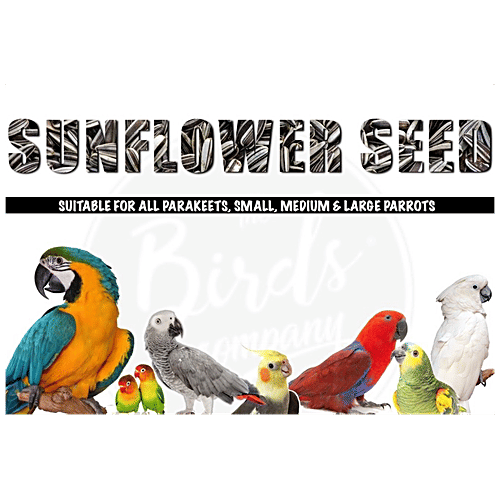 The Birds Company Bird Food - Premium Striped Sunflower Seed Select With Spirulina & Cuttlefish Bone, 900 g  