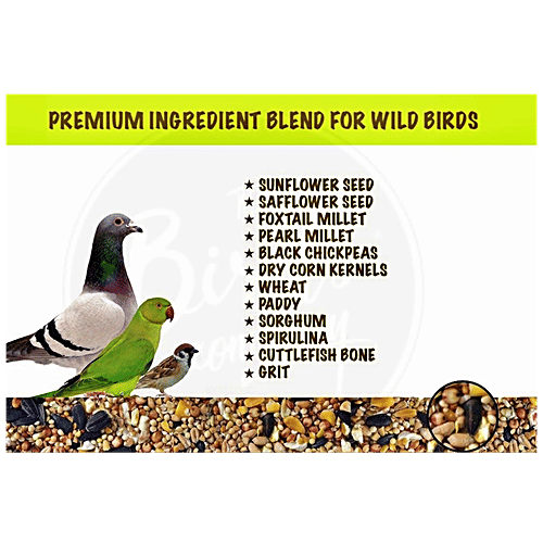The Birds Company Bird Food - Premium Seed Blend Of 9 Grains & Nuts With Spirulina & Cuttlefish Bone, 450 g  