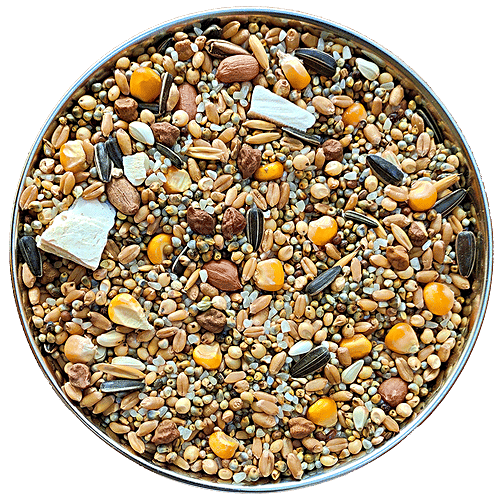 The Birds Company Bird Food - Premium Seed Blend Of 9 Grains & Nuts With Spirulina & Cuttlefish Bone, 450 g  