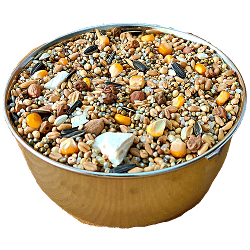The Birds Company Bird Food - Premium Seed Blend Of 9 Grains & Nuts With Spirulina & Cuttlefish Bone, 450 g  