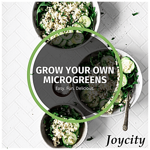 Joycity Clover Microgreens, 200+ Seeds