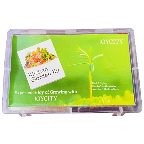 Joycity Spring Onion Seeds, 150+ Seeds  