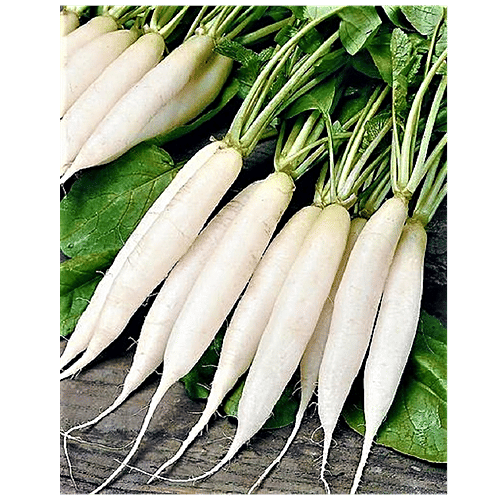 Buy Joycity White Radish Seeds Online at Best Price of Rs 99 bigbasket