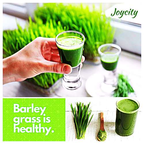 Joycity Barley Grass Seeds, 600+ Seeds  