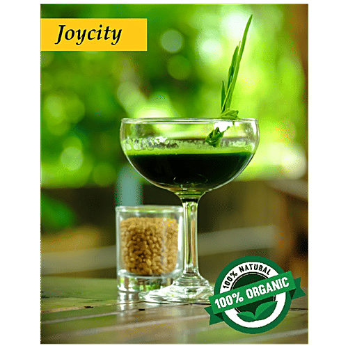 Joycity Barley Grass Seeds, 600+ Seeds  