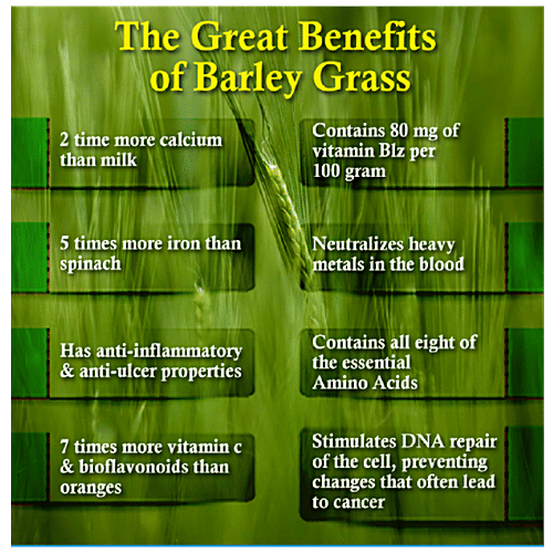 Joycity Barley Grass Seeds, 600+ Seeds  