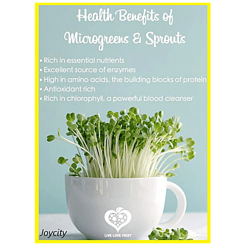 Joycity Baby Spinach Microgreens, 500+ Seeds  