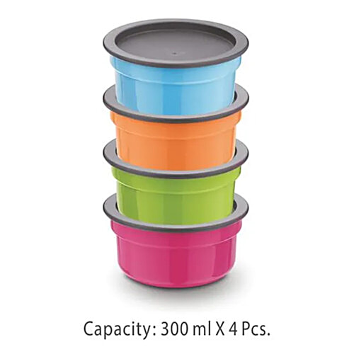 Asian Dynamic Leakproof Containers/Tiffin Boxes, 300 ml (Set of 4) 