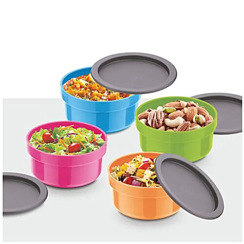 Asian Dynamic Leakproof Containers/Tiffin Boxes, 300 ml (Set of 4) 