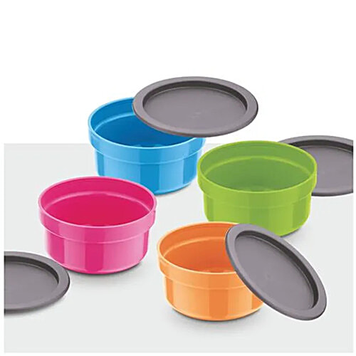 Asian Dynamic Leakproof Containers/Tiffin Boxes, 300 ml (Set of 4) 