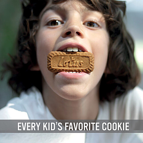 Lotus Imported Biscoff Caramelised Biscuit, 250 g Non - GMO Project Verified & Vegan