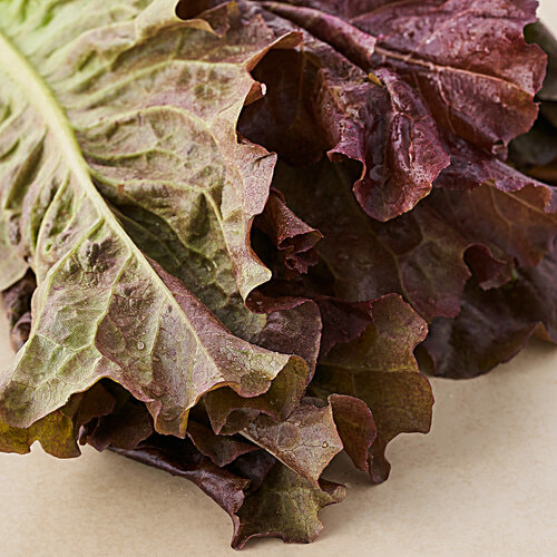 fresho! Lettuce - Concorde, Hydroponically Grown, Red, Approx 100 - 125 g  