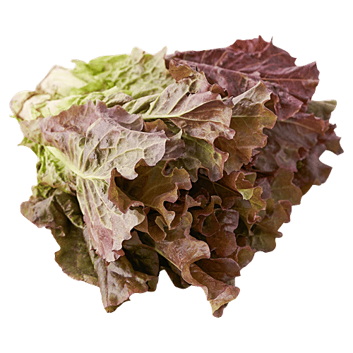 fresho! Lettuce - Concorde, Hydroponically Grown, Red, Approx 100 - 125 g  