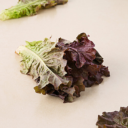 fresho! Lettuce - Concorde, Hydroponically Grown, Red, Approx 100 - 125 g  