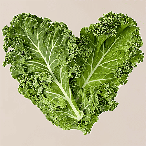 fresho! Mixed Greens - Kale, Roquette, Swiss Chard, Hydroponically Grown, 200 g  