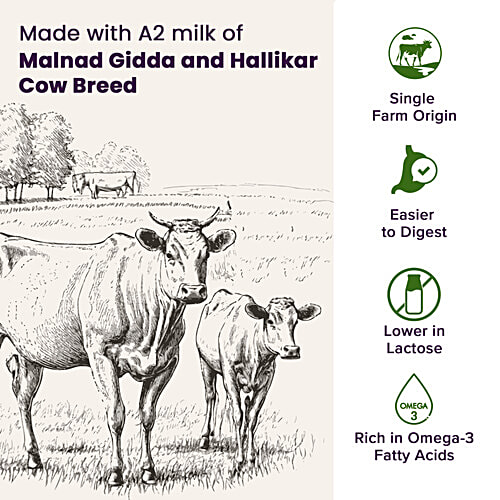 fresho! Organic A2 Desi Cow Ghee, Rich Aroma, Traditional Bilona Method, 500 ml  