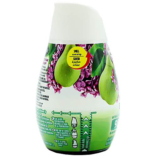 RENUZIT Soild Gel  Air Freshener - White Pure Pear & Lavender, 198 g  