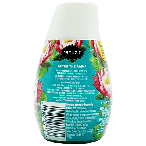 RENUZIT Soild Gel Air Freshener - After The Rain Inspiration, 198 g  