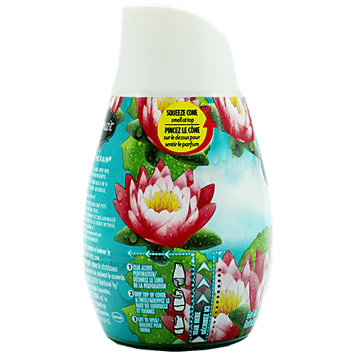 RENUZIT Soild Gel Air Freshener - After The Rain Inspiration, 198 g  