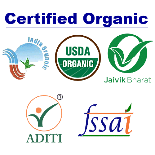 TummyFriendly Foods Organic Sprouted Multi Grain Fruit Vegetable Porridge Mix, 50 g Pouch 