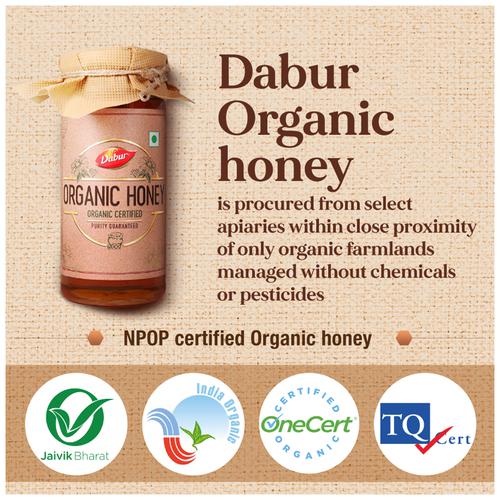 Dabur Organic Honey - Sourced From Wild Forests, 300 g  