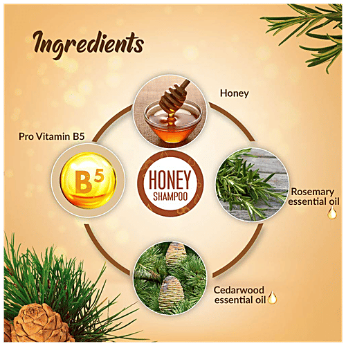 Keya Seth Aromatherapy Moisture Boost shampoo, 200 ml  