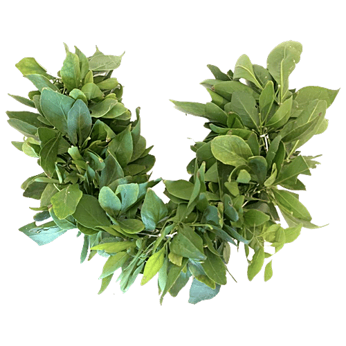 Hoovu Fresh Bilpatre String, 40 cm  