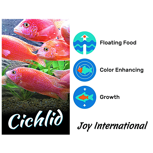 Buy Hikari Cichlid Gold Fish Food Medium Pellet Online at Best Price