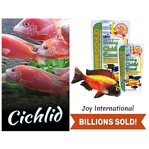 Buy Hikari Cichlid Sinking Excel Mini Pellet Fish Food Online at Best