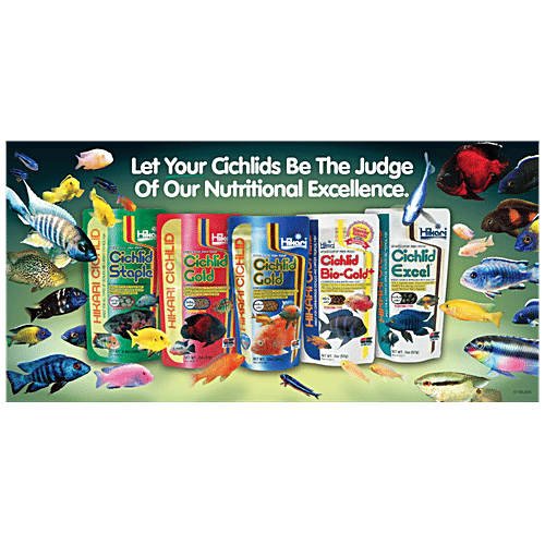 Hikari Cichlid Bio Gold+ Mini Pellet Fish Food, 57 g